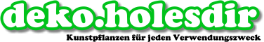 deko.holesdir.de Logo
