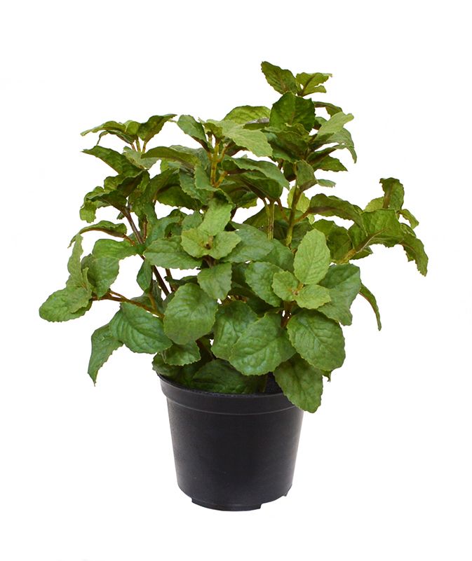 4 x knstliche Minzzweige 25 cm in Topf