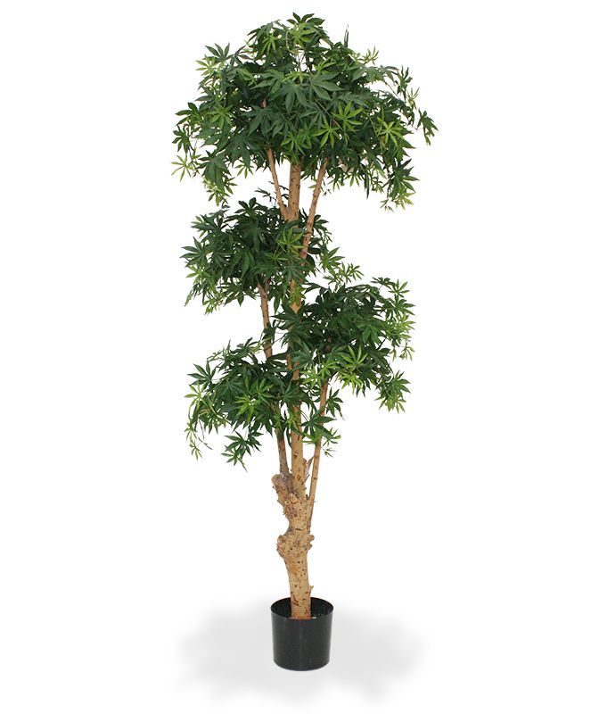 Ahorn Kunstbonsai Deluxe 170 cm grn