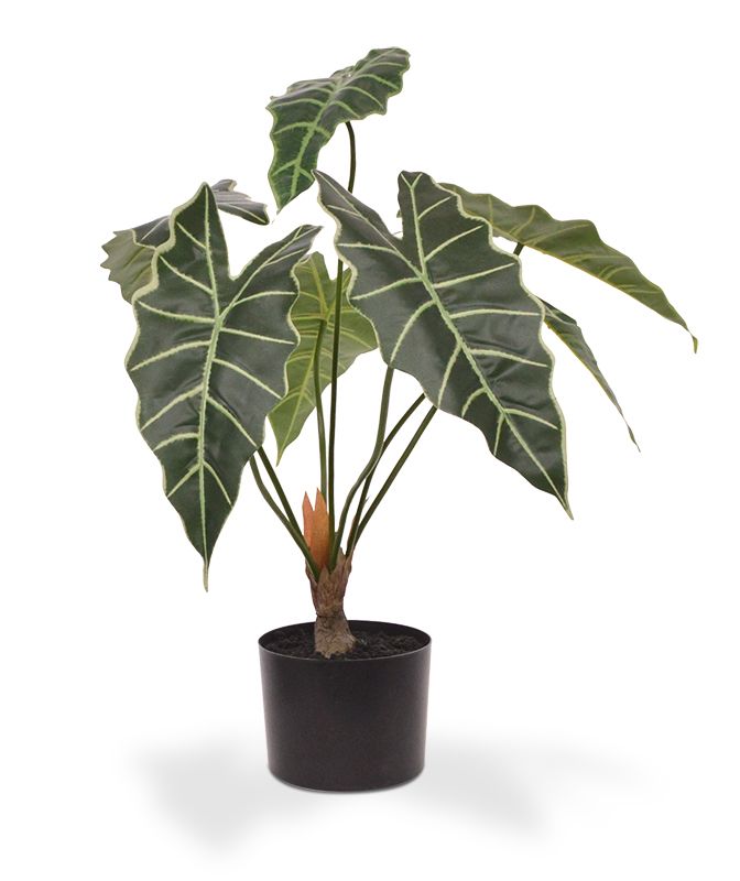 Alocasia Amazonica Kunstpflanze 60 cm unter Grüne Kunstpflanzen