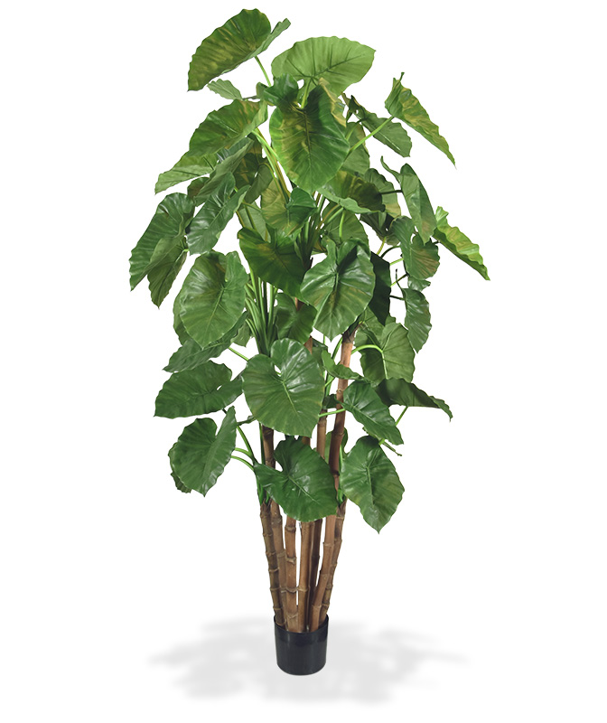 Alocasia Calidora Giant Kunstbaum deluxe 210 cm