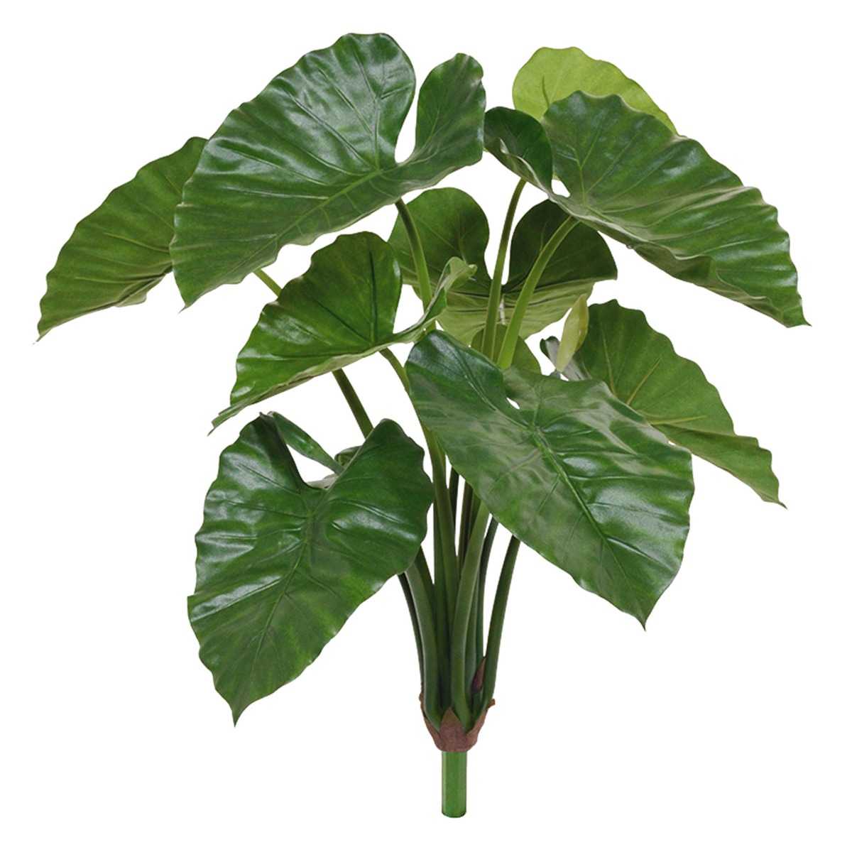 Alocasia Calidora Kunst-Bukett 70 cm unter Grüne Kunstpflanzen