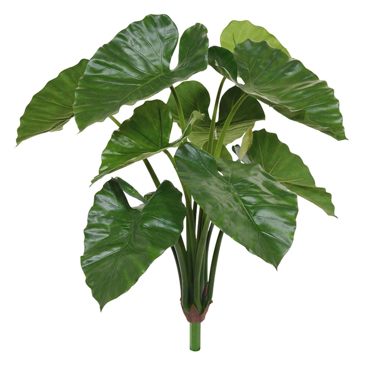 Alocasia Calidora Kunst-Bukett 70 cm unter Grne Kunstpflanzen