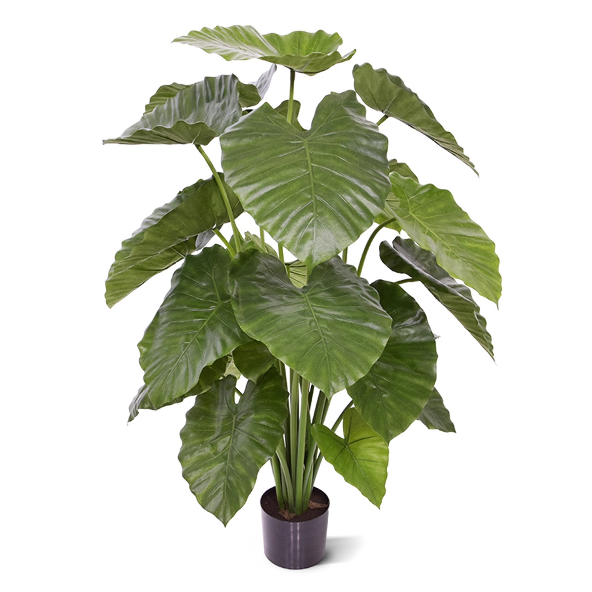 Alocasia Calidora Kunstpflanze 115 cm unter Grüne Kunstpflanzen