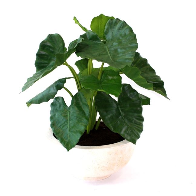 Alocasia Calidora Kunstpflanze 60 cm