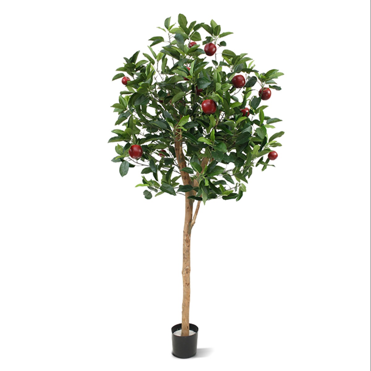 Apfelbaum Deluxe 195 cm