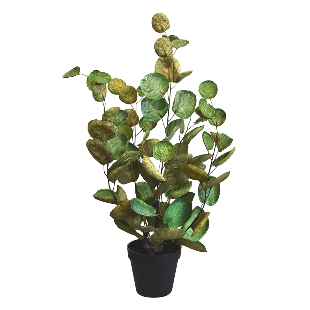 Aralia Polyscias Kunstpflanze 60 cm unter Grüne Kunstpflanzen