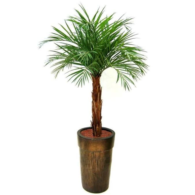 Areca Kunstpalme mit Echtholzstamm 175 cm