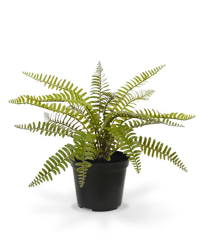 Asplenium Kunstfarn 35 cm im Topf unter Grne Kunstpflanzen