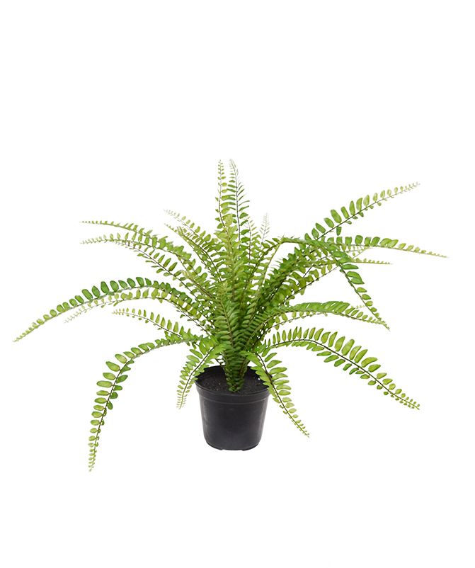 Asplenium Kunstfarn 45 cm im Topf