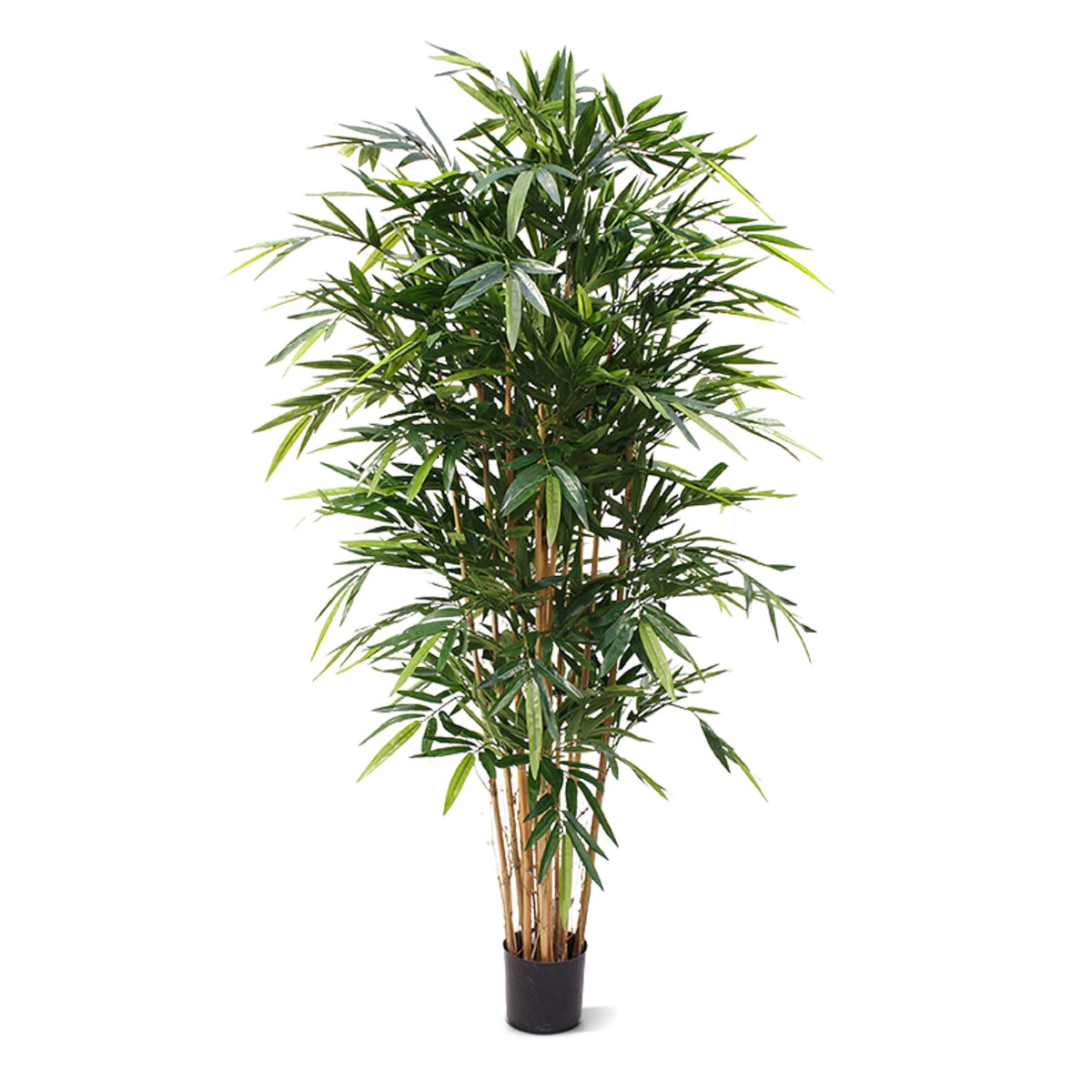 Bambus Kunstpflanze Deluxe 180 cm