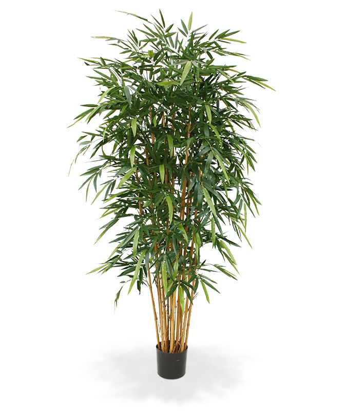 Bambus Kunstpflanze Deluxe 210 cm