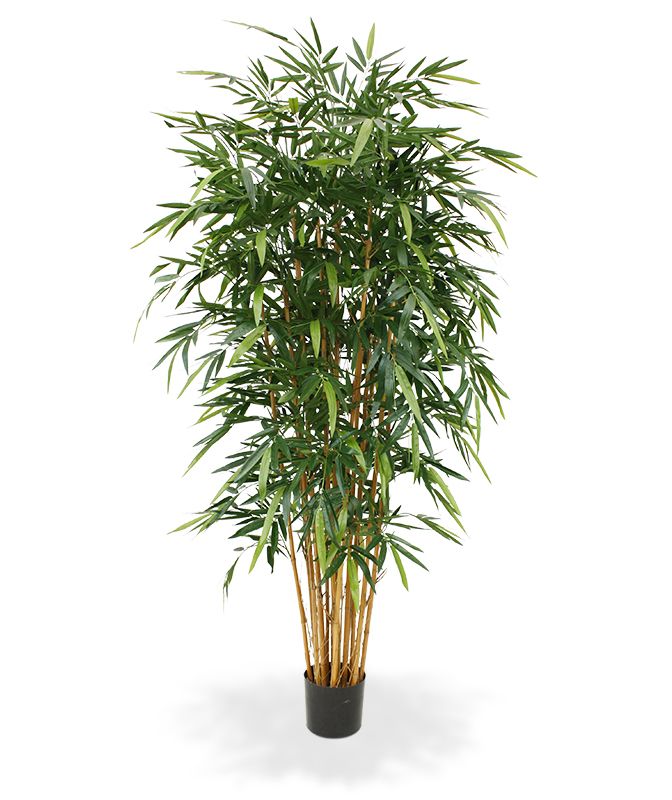 Bambus Kunstpflanze Deluxe 210 cm