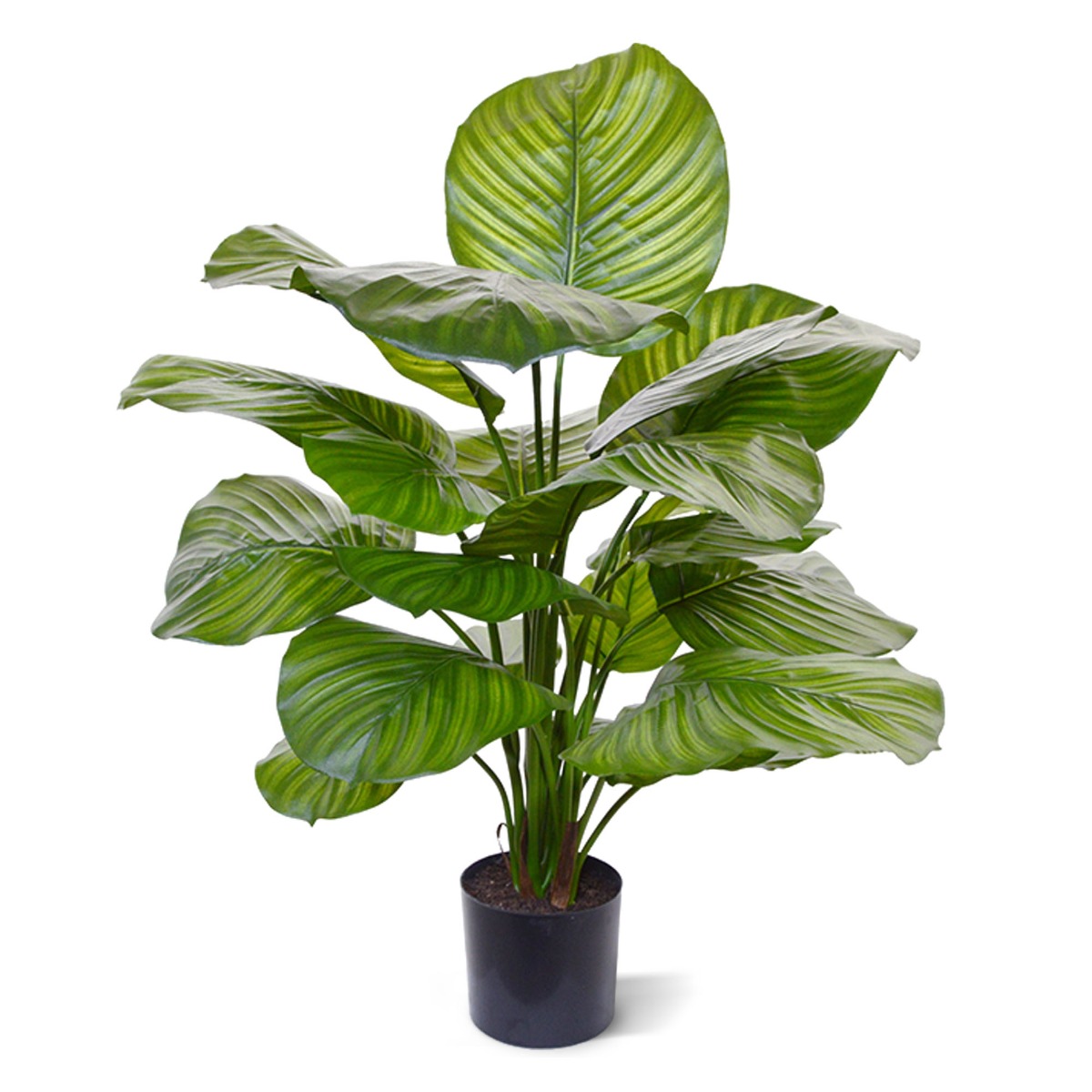 Calathea Fasciata Kunstpflanze 70 cm