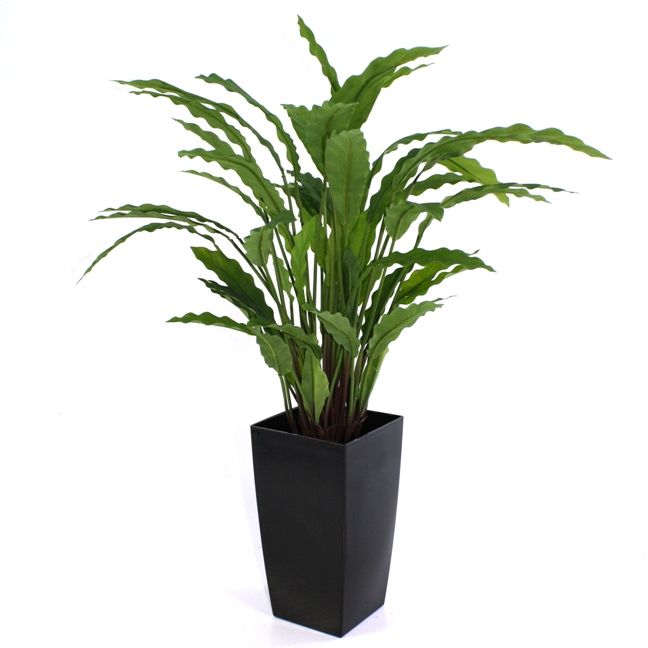 Calathea Kunstpflanze Grün 60 cm