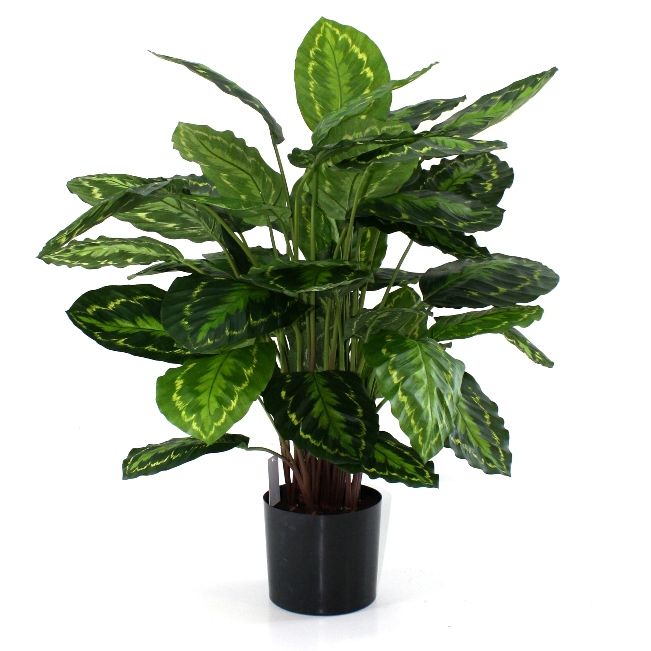 Calathea Roseopicta Kunstpflanze 80 cm