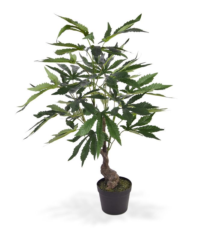 Cannabis Kunstpflanze 60 cm