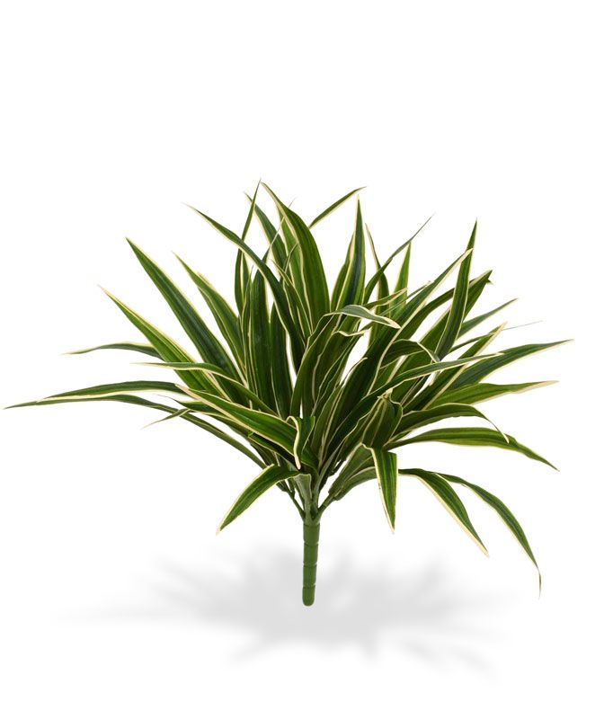 Chlorophytum S Bukett 30 cm unter Grüne Kunstpflanzen