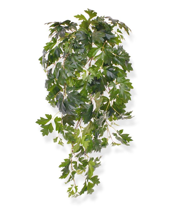 Cissus Kunsthängepflanze deluxe 80 cm unter Künstliche Hängepflanzen
