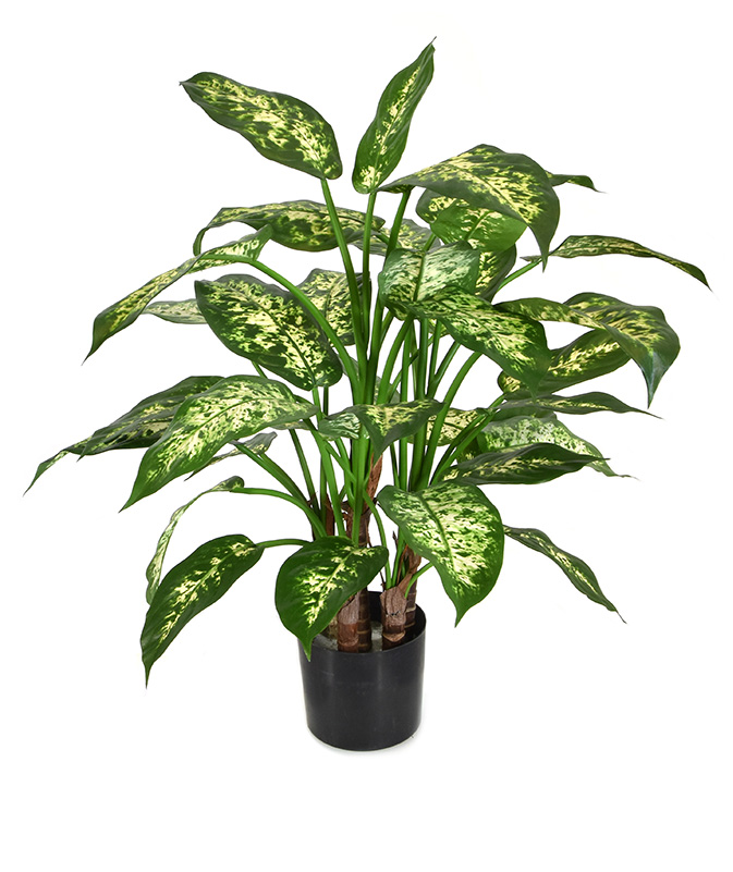 Dieffenbachia deluxe Kunstpflanze 60 cm