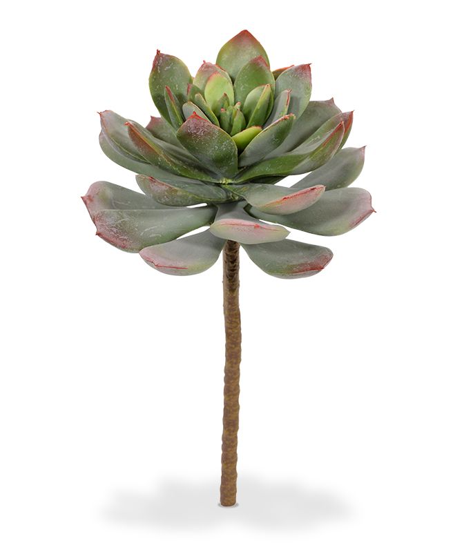 Echeveria Kunstbukett 25 cm grn-rot