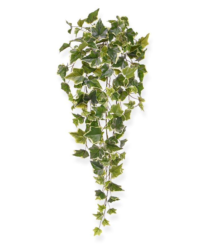 Efeu künstliche Hängepflanze 65 cm bunt