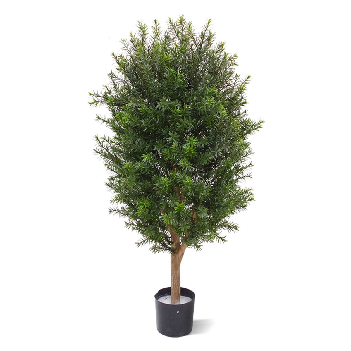 Eibe Kunstpflanze (Taxus) Sule 90 cm UV-bestndig