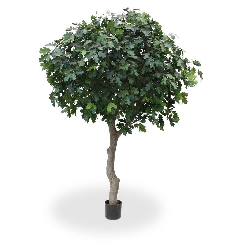 Eiche Kunstbaum Giant Deluxe 300 cm
