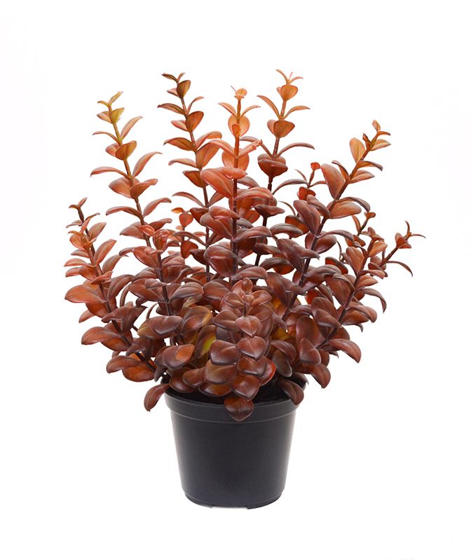 Eucalyptus Kunstpflanze 30 cm burgunderrot in 10 cm Topf