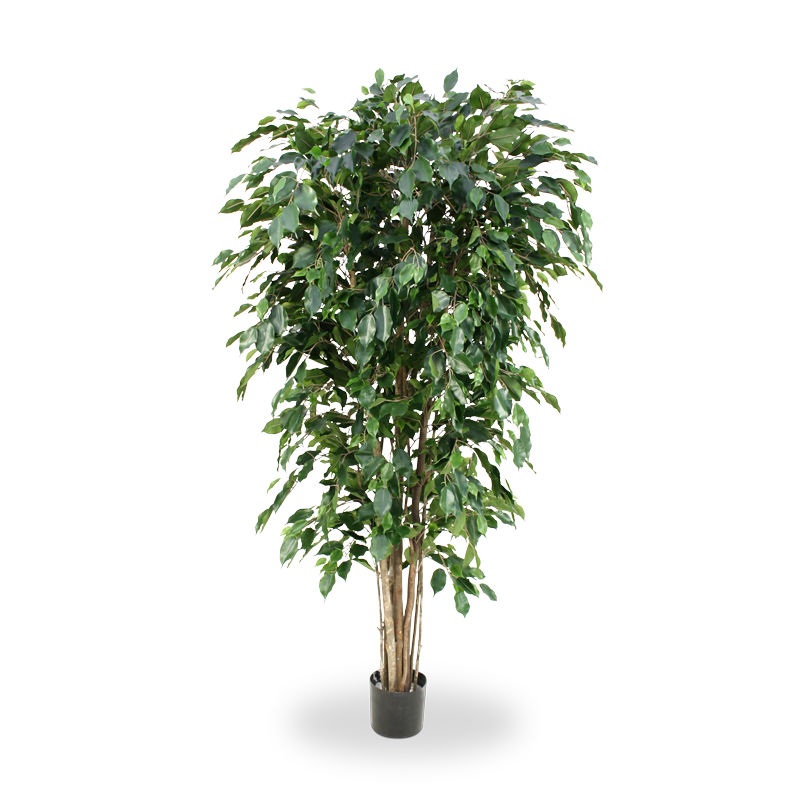 Feuerhemmende Künstliche Ficus Exotica Deluxe 180 cm grün FR