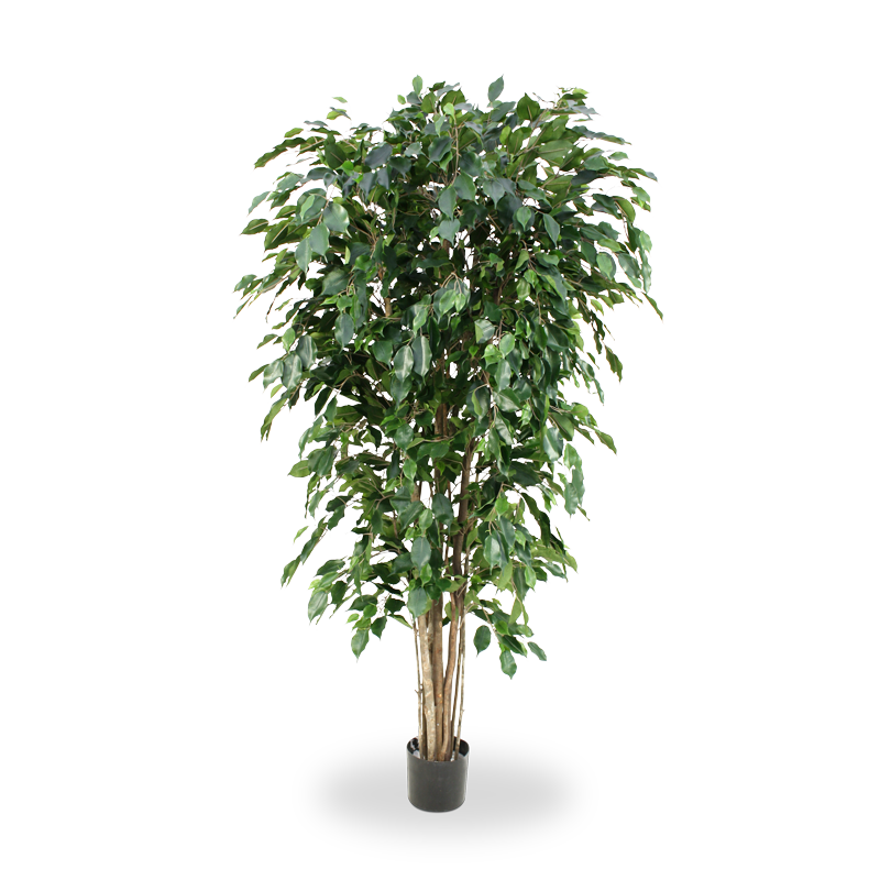 Feuerhemmende Knstliche Ficus Exotica Deluxe 180 cm grn FR