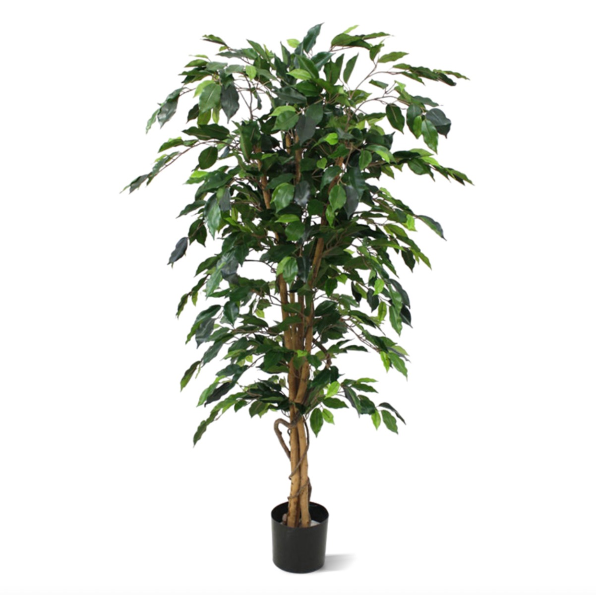 Ficus Benjamini Kunstpflanze 150 cm unter Grne Kunstbume