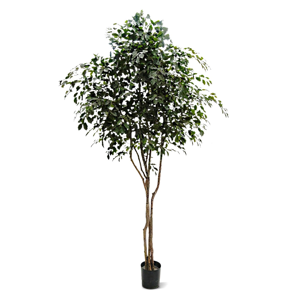 Ficus Exotica Kunstbaum 330 cm