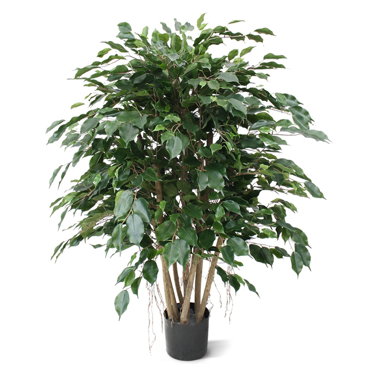 Ficus Exotica XL 110 cm Kunstpflanze