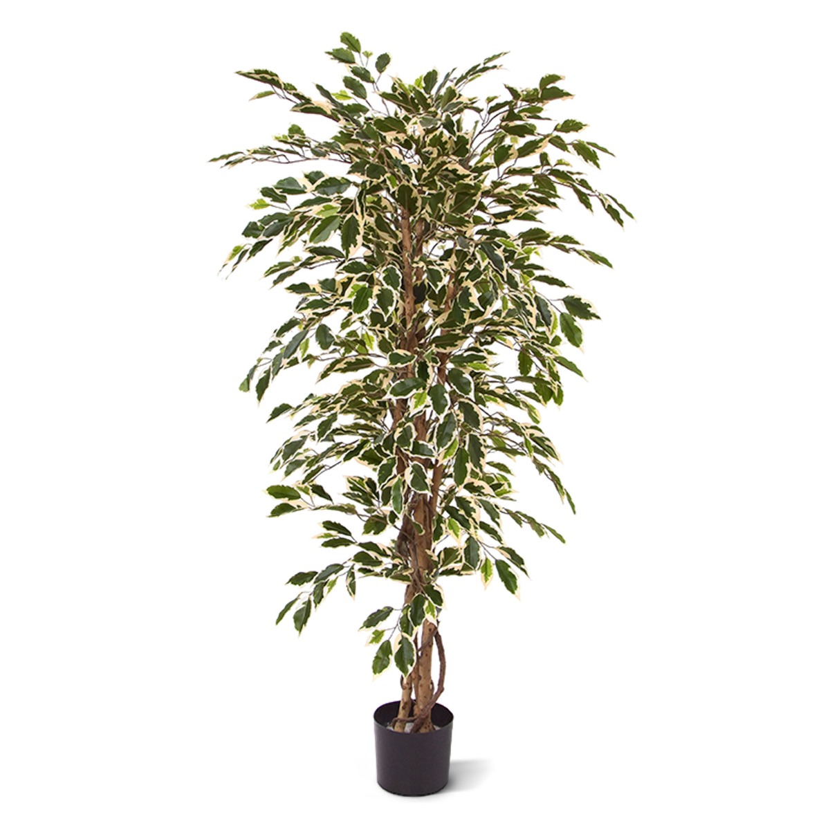 Ficus Hawai Kunstpflanze 150 cm