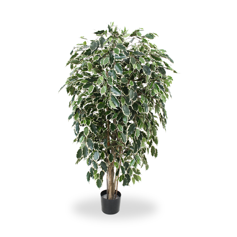 Ficus Kunstbaum Exotica Deluxe 150 cm bunt