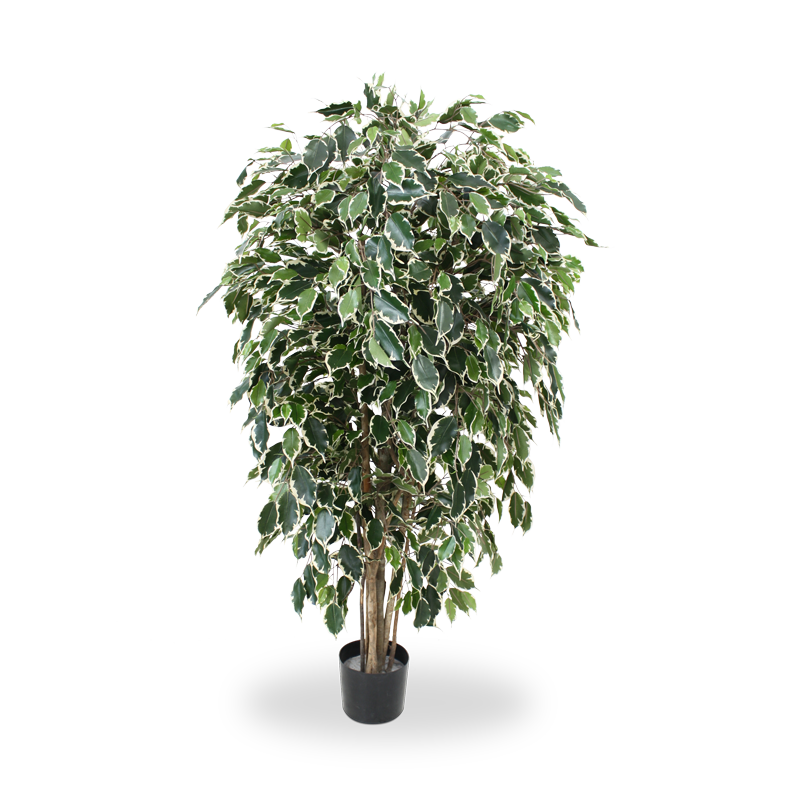 Ficus Kunstbaum Exotica Deluxe 150 cm bunt unter Grne Kunstbume