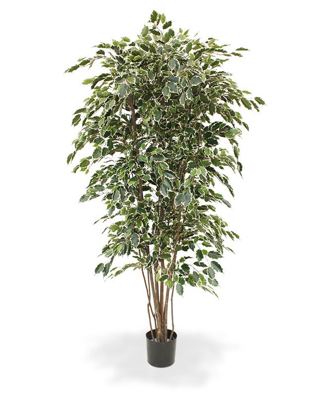 Ficus Kunstbaum Exotica Deluxe 210 cm bunt