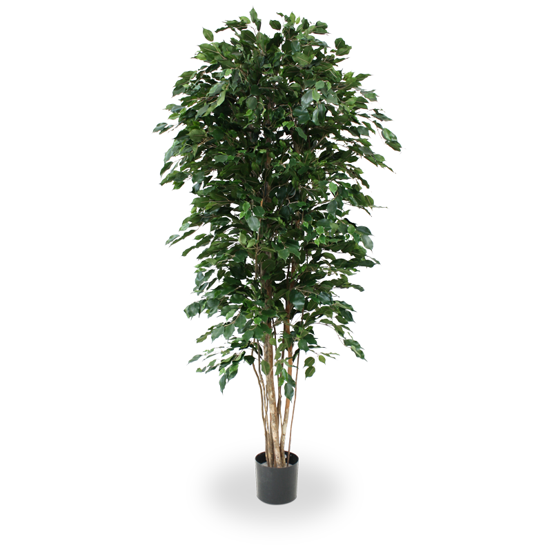 Ficus Kunstbaum Exotica Deluxe 210 cm grn unter Grne Kunstbume