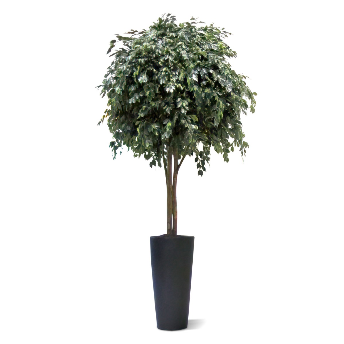 Ficus Kunstbaum Exotica Giant 350 cm