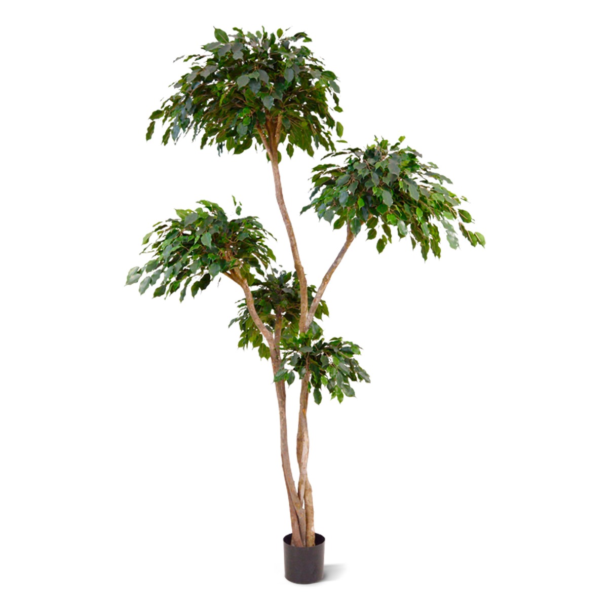 Ficus Kunstbaum Exotica Layer 240 cm unter Grne Kunstbume