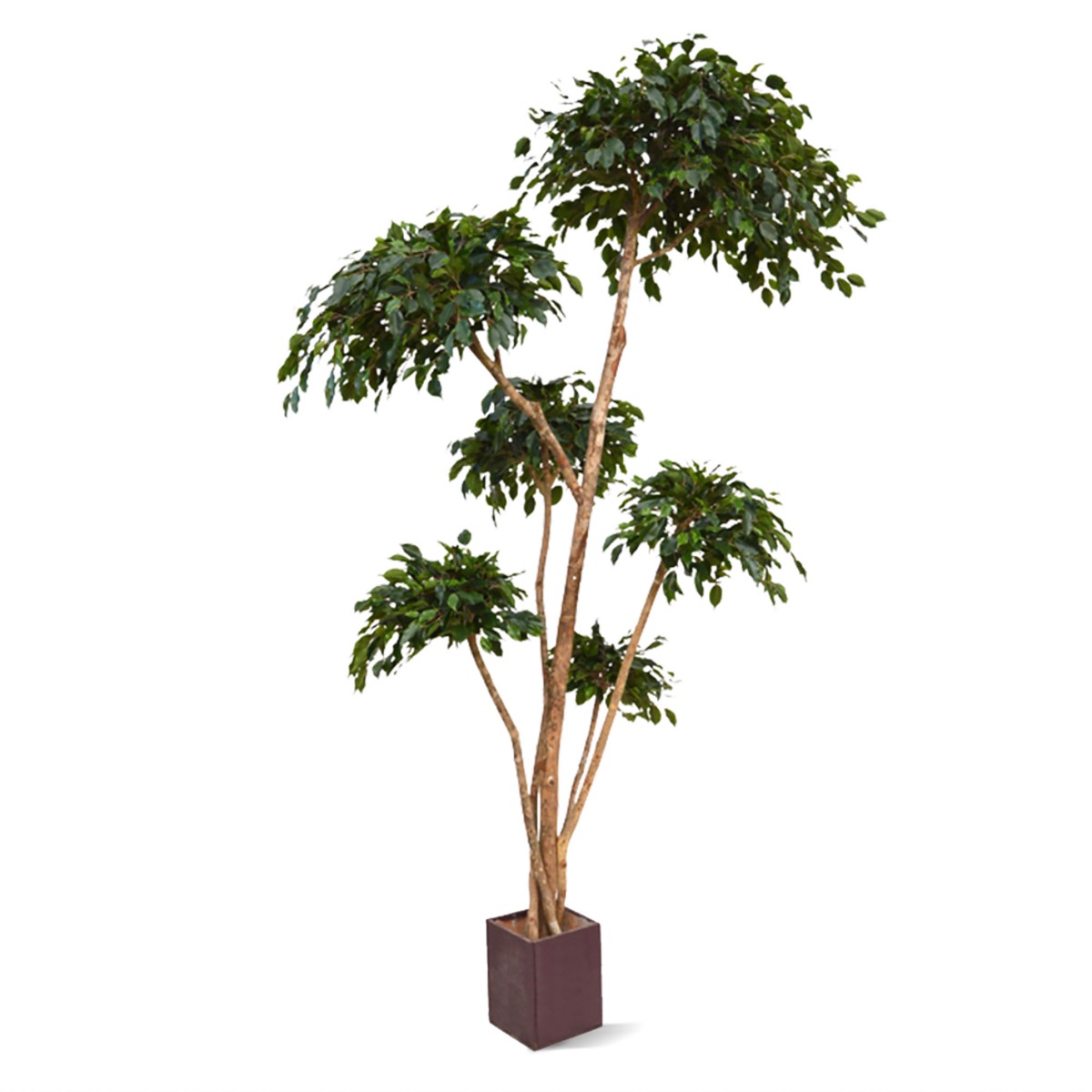Ficus Kunstbaum Exotica Layer x6- 300 cm