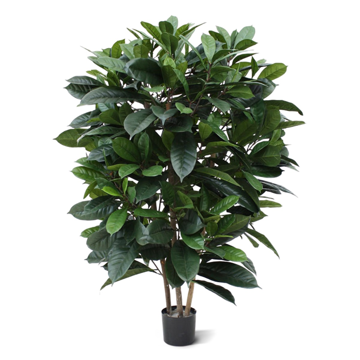 Ficus Kunstpflanze Cyathistipula 120 cm Deluxe