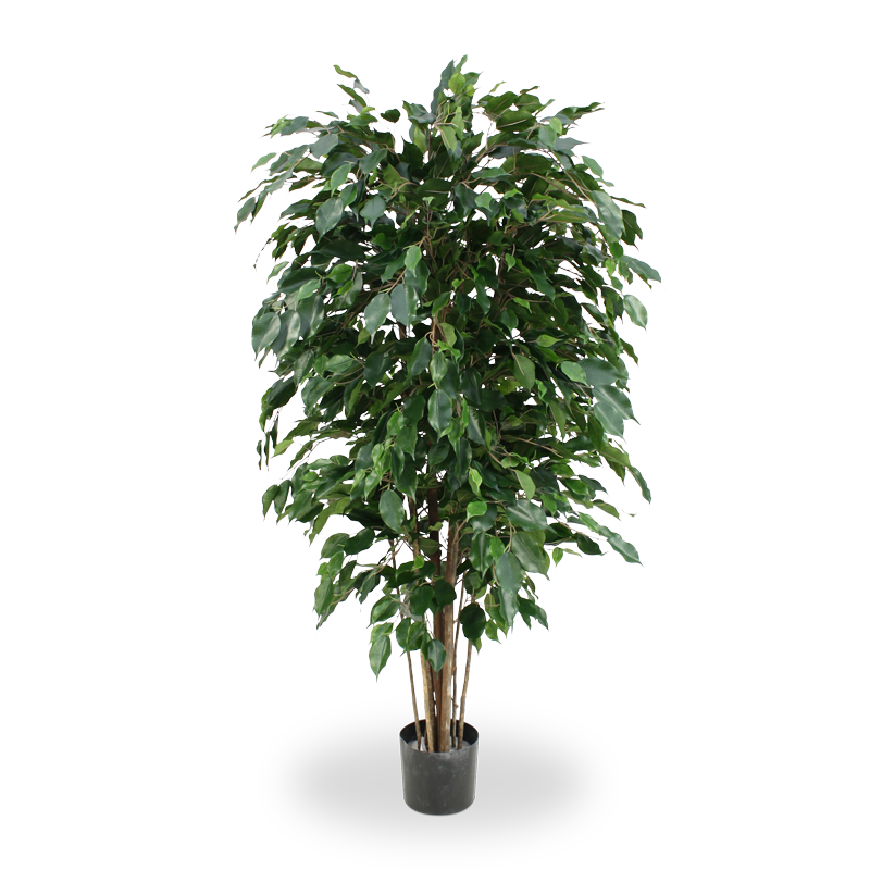 Ficus Kunstpflanze Exotica Deluxe 150 cm grün FR feuerhemmend