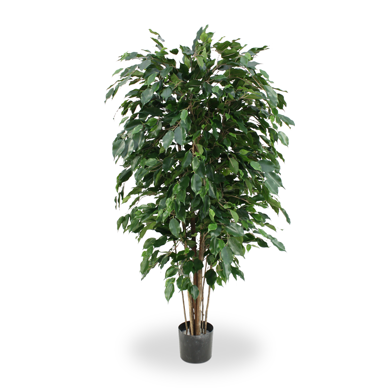 Ficus Kunstpflanze Exotica Deluxe 150 cm grn FR feuerhemmend unter Grne Kunstbume