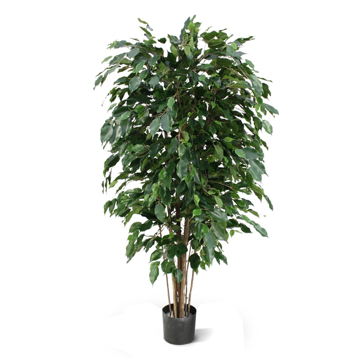 Ficus Kunstpflanze Exotica Deluxe 150 cm grn unter Grne Kunstbume