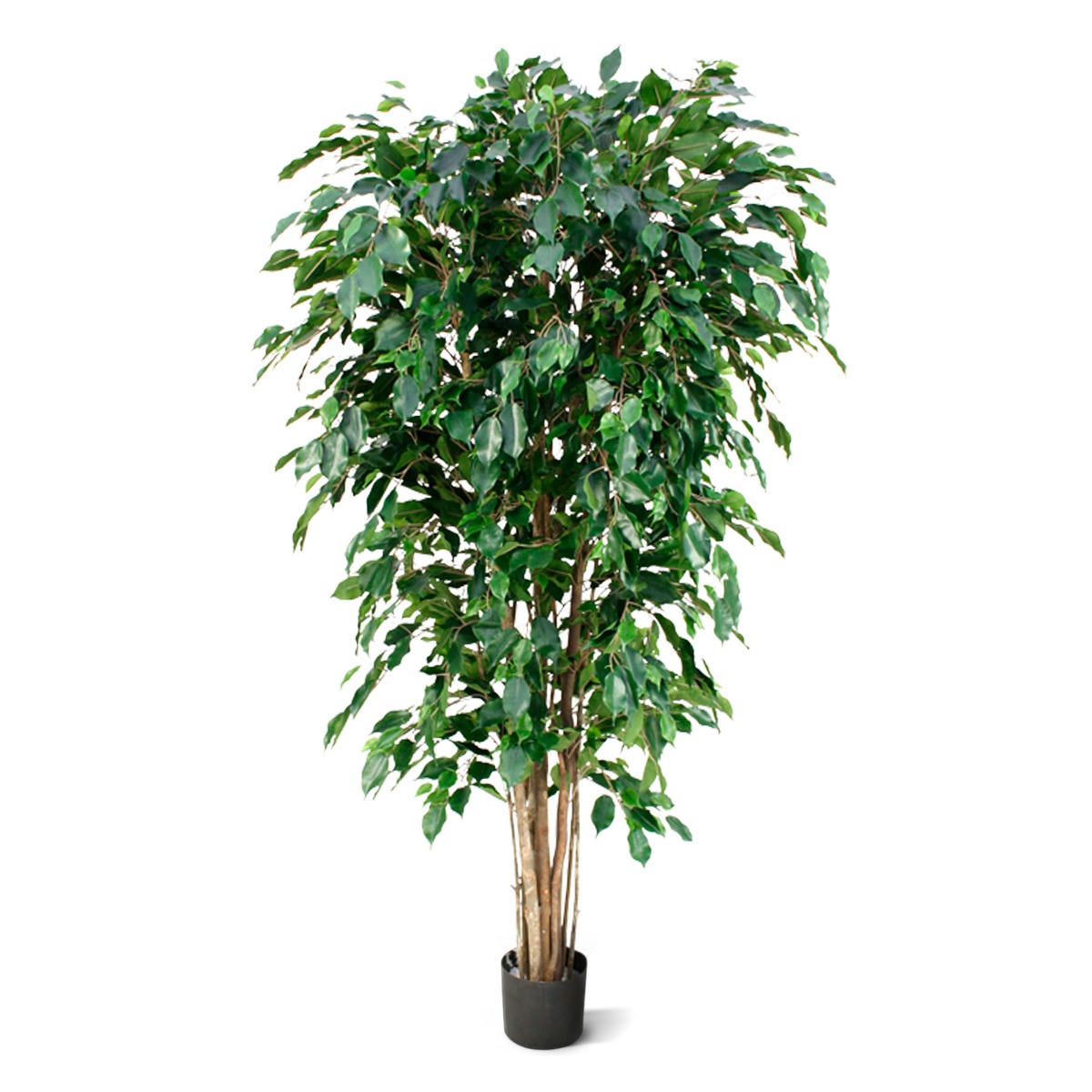 Ficus Kunstpflanze Exotica Deluxe 180 cm grün