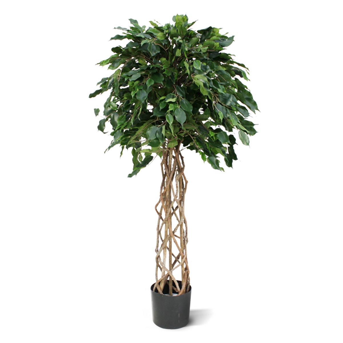 Ficus Kunstpflanze Exotica Kugel 150 cm