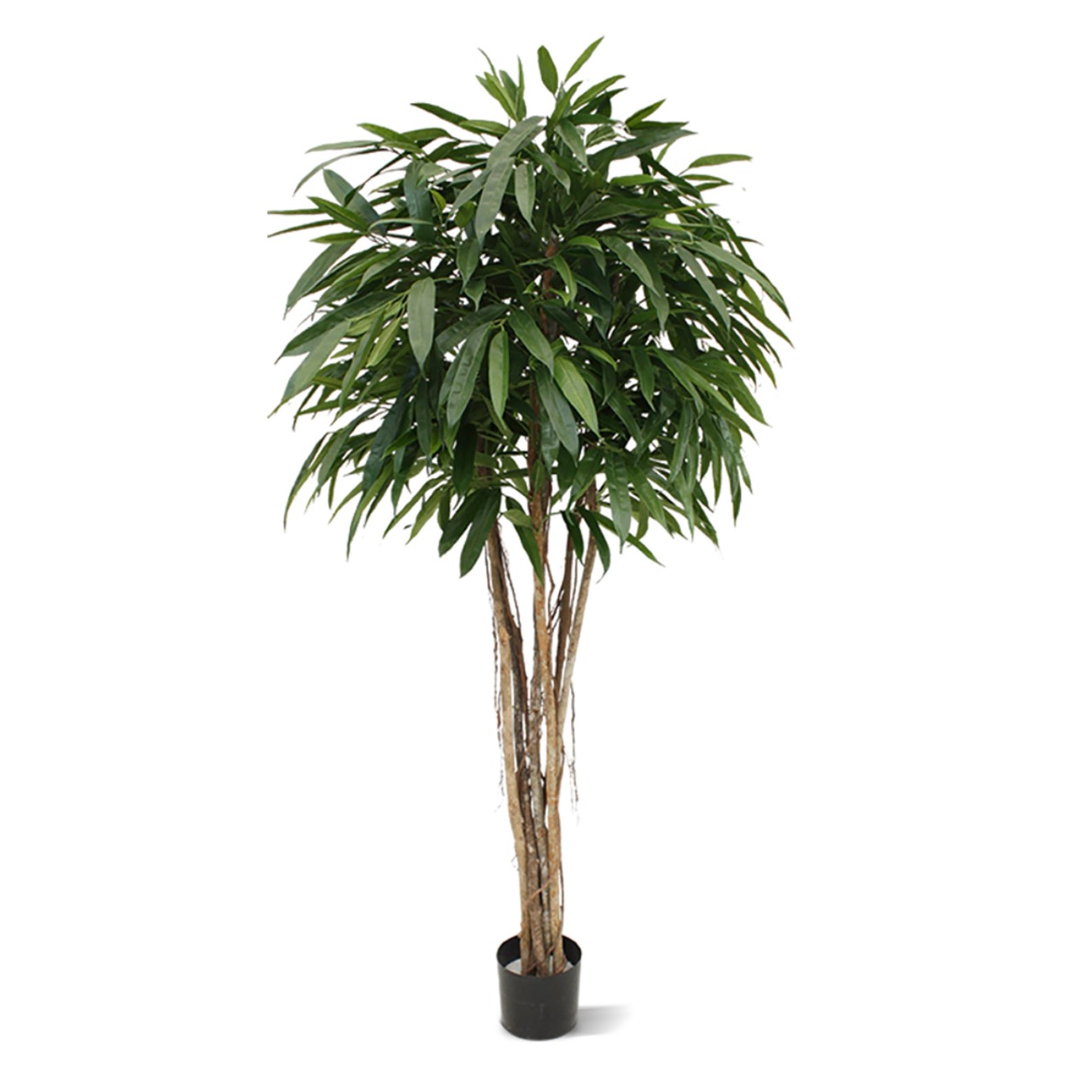 Ficus Longifolia Kunstbaum Deluxe 180 cm
