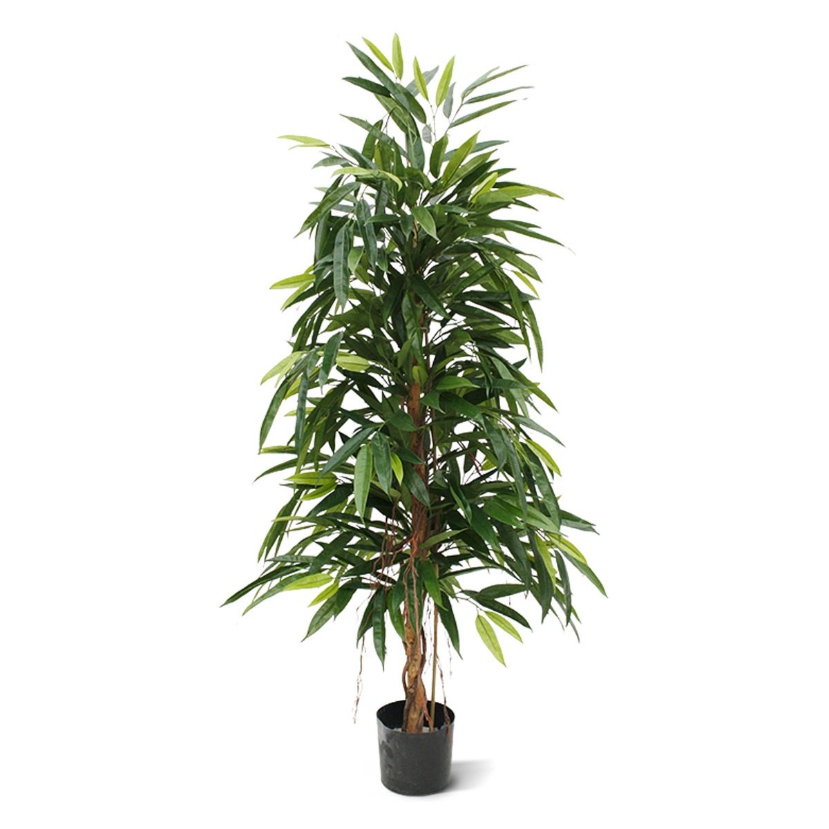 Ficus Longifolia Kunstbaum Royal 150 cm